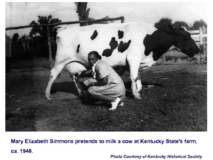 Mary Elizabeth Simmons pretends to milk a cow at Kentucky State's farm, ca. 1940.