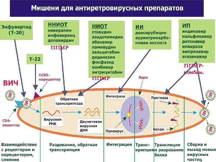 ППМРкомбин. 