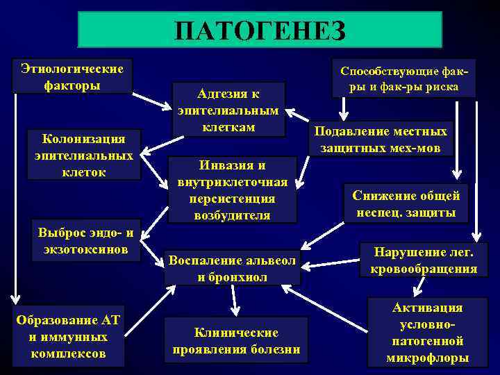 ПАТОГЕНЕЗ Этиологические факторы Колонизация эпителиальных клеток Выброс эндо- и экзотоксинов Образование АТ и иммунных