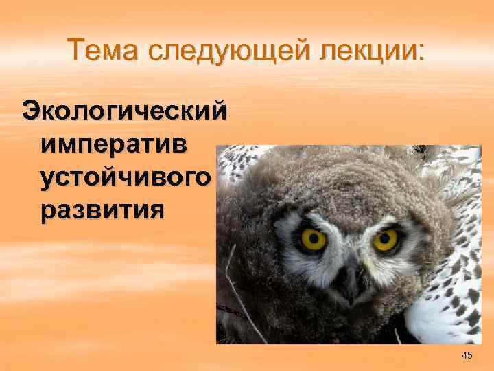 Тема следующей лекции: Экологический императив устойчивого развития 45 