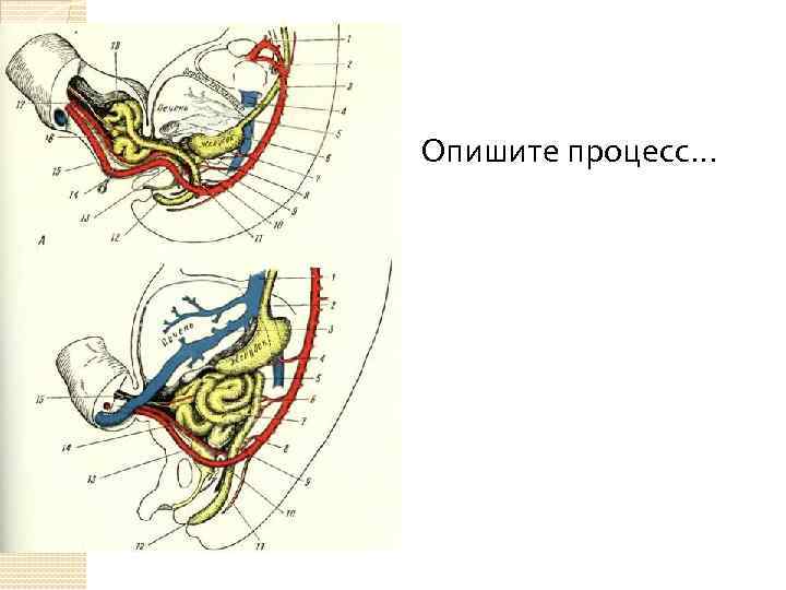 Опишите процесс… 