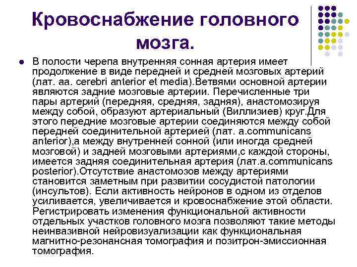 Кровоснабжение головного мозга. l В полости черепа внутренняя сонная артерия имеет продолжение в виде