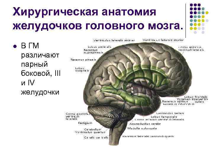 Поражения оболочек головного мозга