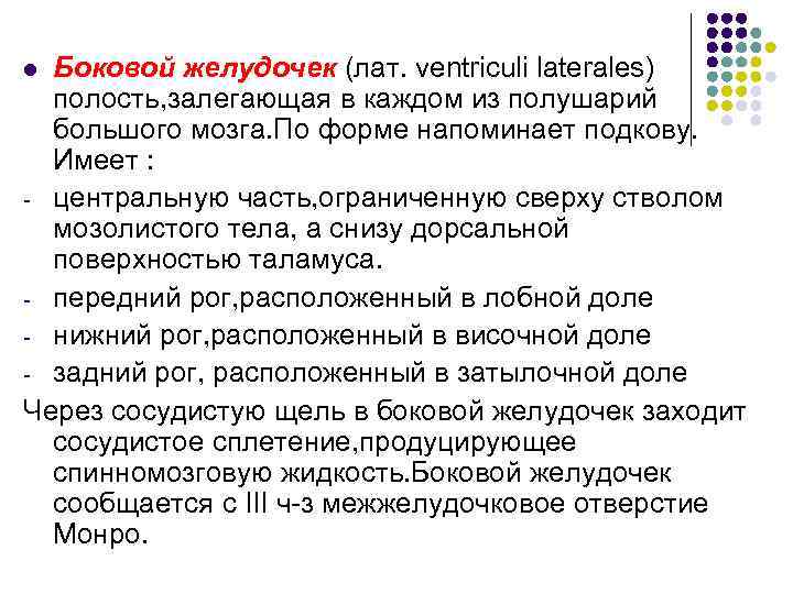 Боковой желудочек (лат. ventriculi laterales) полость, залегающая в каждом из полушарий большого мозга. По