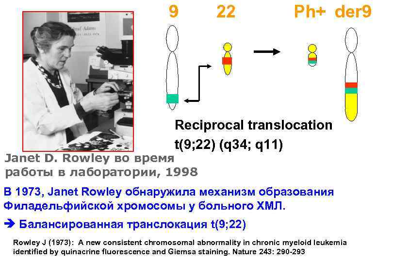 9 22 Ph+ der 9 Reciprocal translocation t(9; 22) (q 34; q 11) Janet