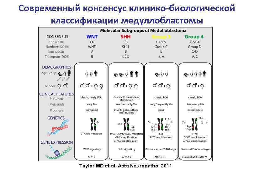 Современный консенсус клинико-биологической классификации медуллобластомы Taylor MD et al, Acta Neuropathol 2011 