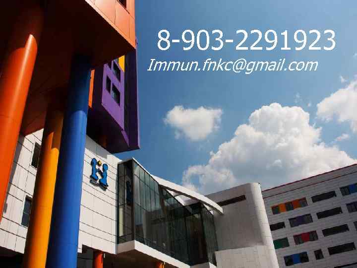 8 -903 -2291923 Immun. fnkc@gmail. com 
