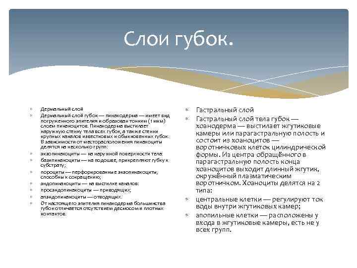 Слои губок. Дермальный слой губок — пинакодерма — имеет вид погруженного эпителия и образован