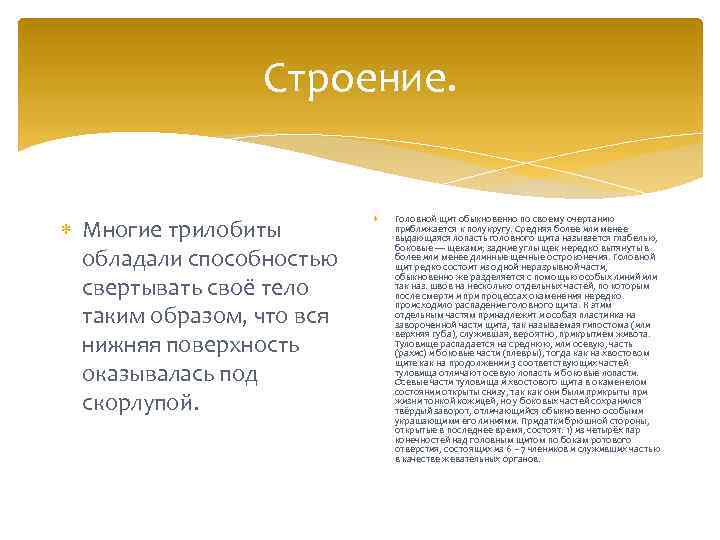 Строение. Многие трилобиты обладали способностью свертывать своё тело таким образом, что вся нижняя поверхность