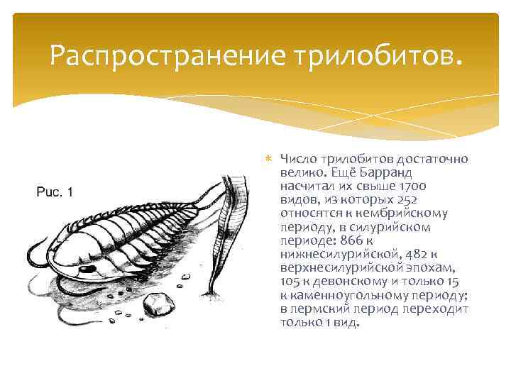 Распространение трилобитов. Число трилобитов достаточно велико. Ещё Барранд насчитал их свыше 1700 видов, из