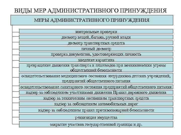 ВИДЫ МЕР АДМИНИСТРАТИВНОГО ПРИНУЖДЕНИЯ МЕРЫ АДМИНИСТРАТИВНОГО ПРИНУЖДЕНИЯ контрольные проверки досмотр вещей, багажа, ручной клади