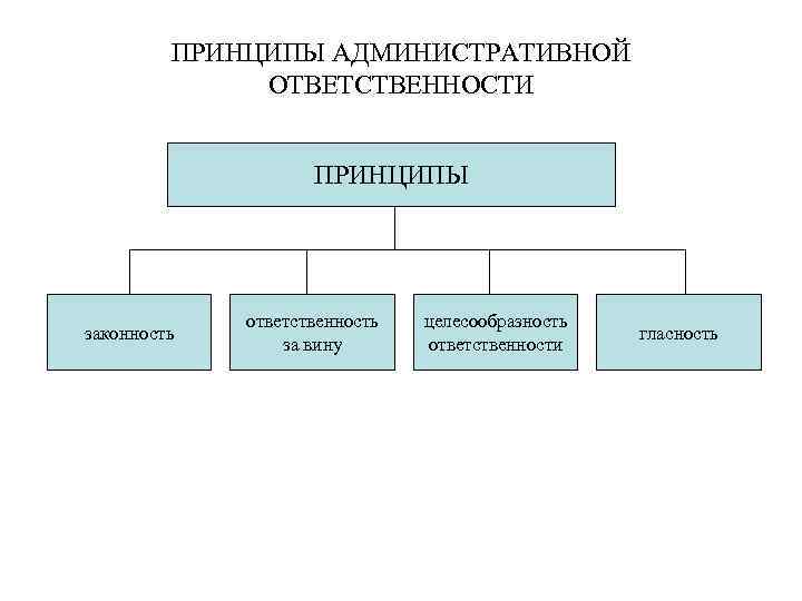 ПРИНЦИПЫ АДМИНИСТРАТИВНОЙ ОТВЕТСТВЕННОСТИ ПРИНЦИПЫ законность ответственность за вину целесообразность ответственности гласность 