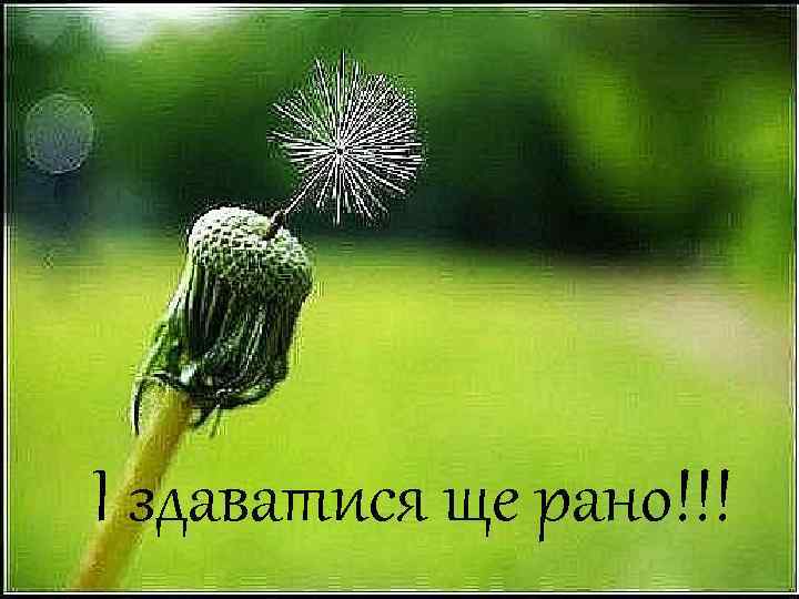 І здаватися ще рано!!! 