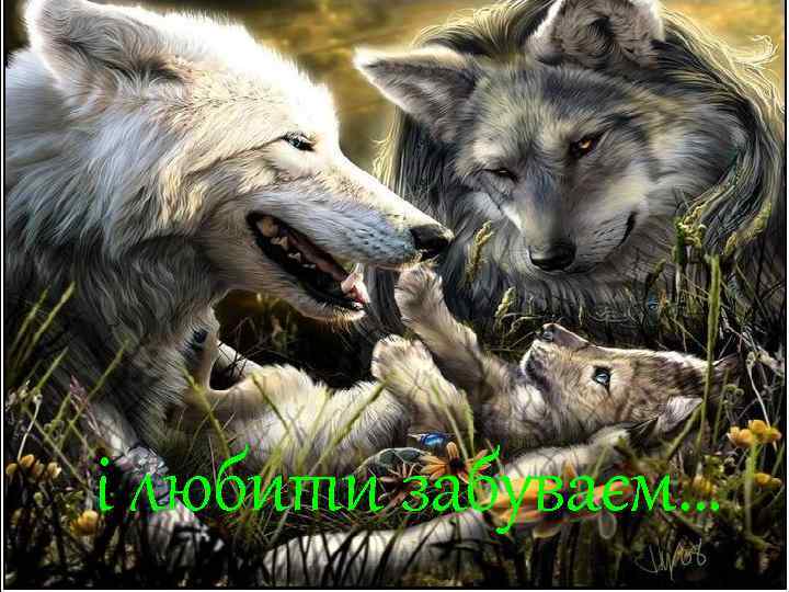 і любити забуваєм… 