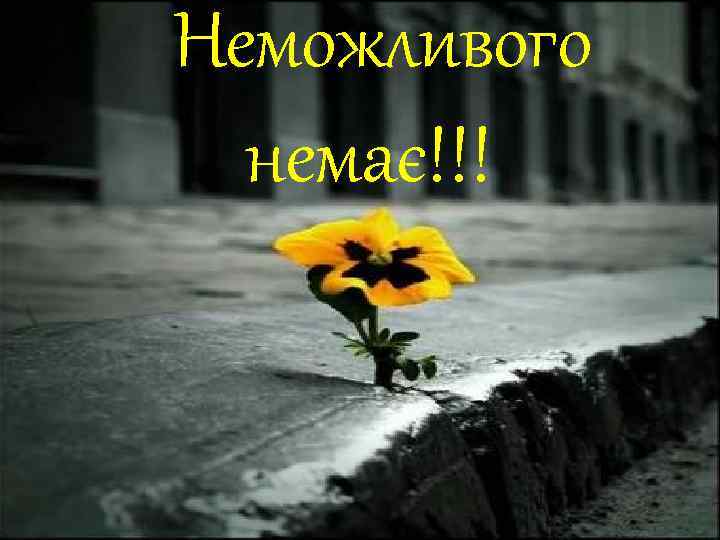 Неможливого немає!!! 