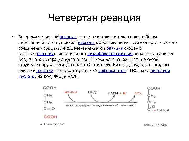 Реакции цикла