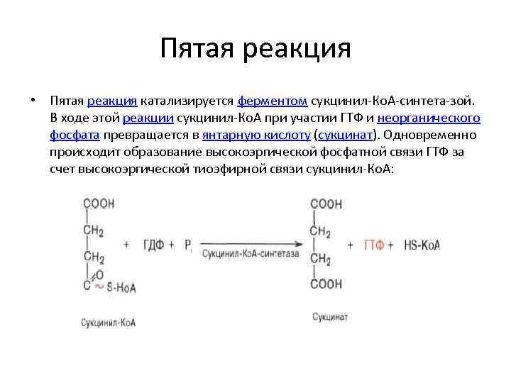 Реакция 5 букв