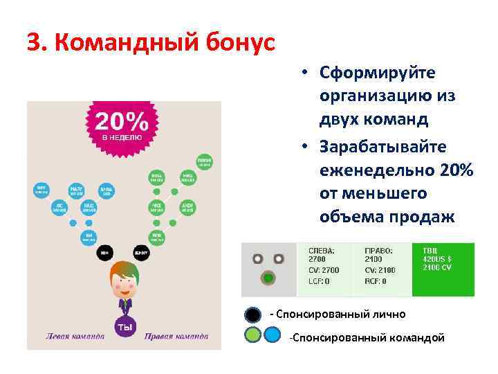 3. Командный бонус • Сформируйте организацию из двух команд • Зарабатывайте еженедельно 20% от