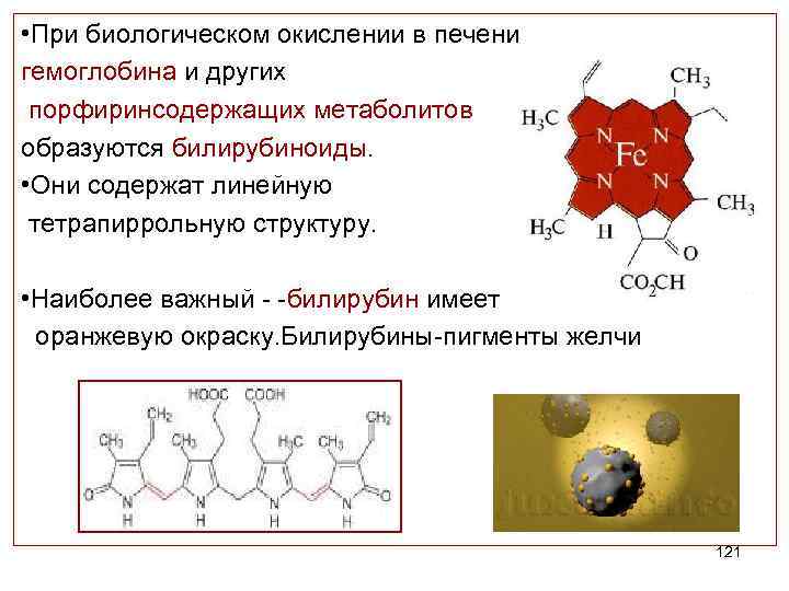  • При биологическом окислении в печени гемоглобина и других порфиринсодержащих метаболитов образуются билирубиноиды.