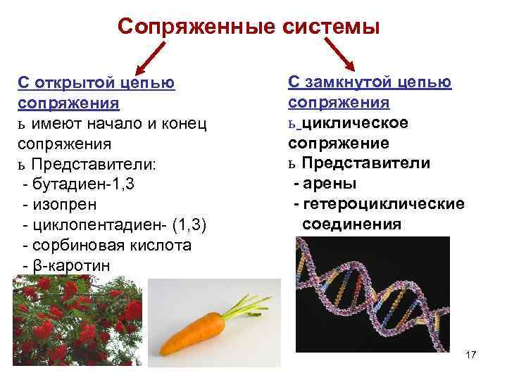 Сопряженные системы С открытой цепью сопряжения ь имеют начало и конец сопряжения ь Представители: