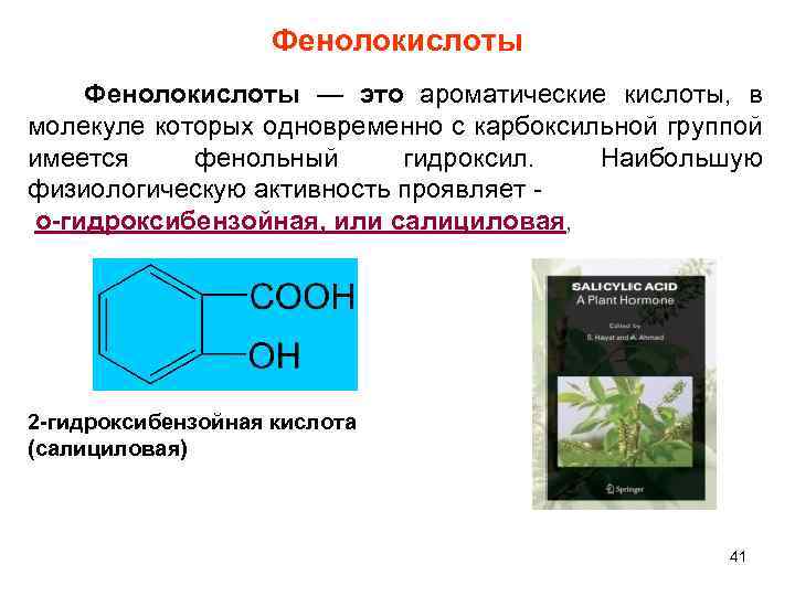 Фенолокислоты — это ароматические кислоты, в молекуле которых одновременно с карбоксильной группой имеется фенольный