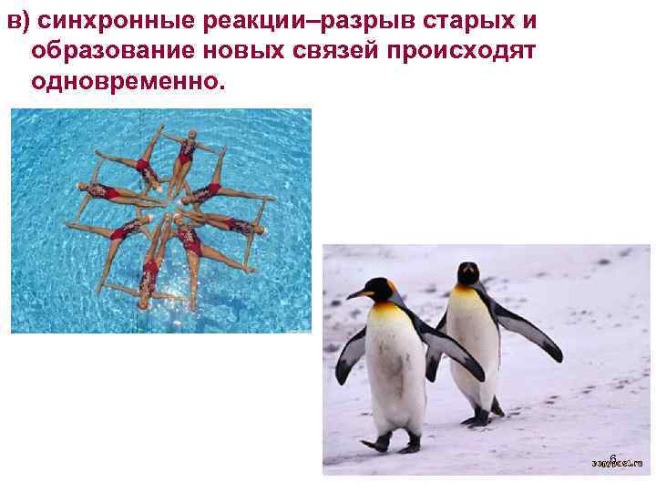 в) синхронные реакции–разрыв старых и образование новых связей происходят одновременно. 6 
