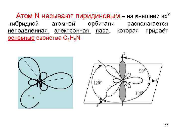  Атом N называют пиридиновым – на внешней sp 2 -гибридной атомной орбитали располагается