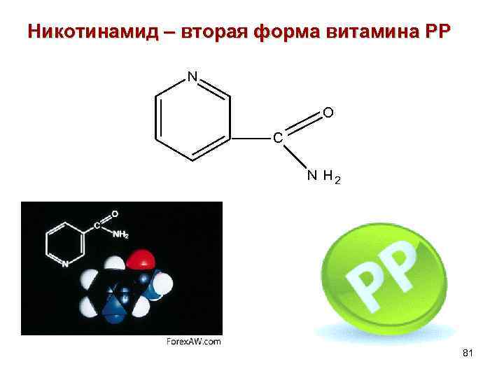Никотинамид – вторая форма витамина PP N O C NH 2 81 