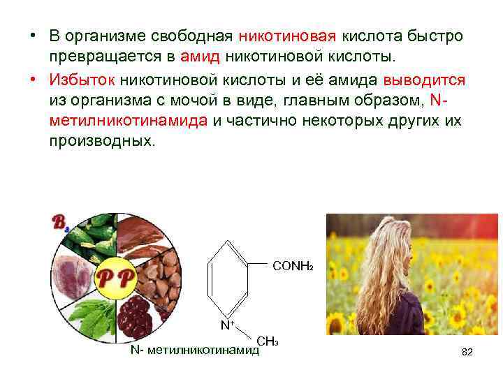  • В организме свободная никотиновая кислота быстро превращается в амид никотиновой кислоты. •