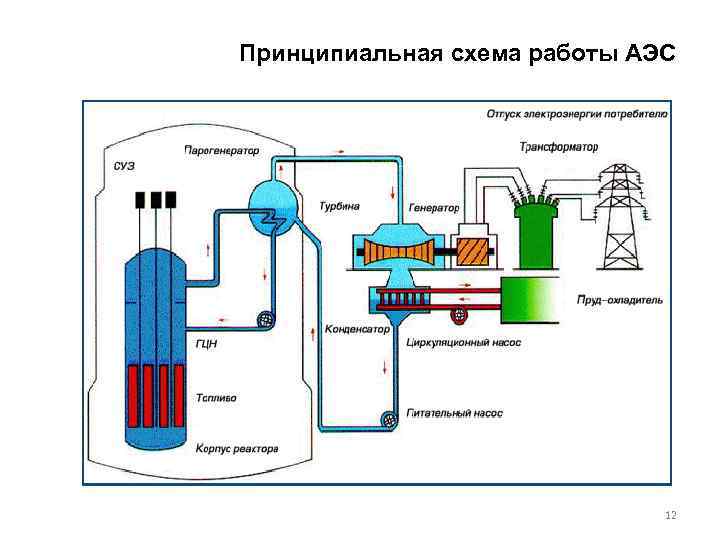 Принципиальная схема работы АЭС 12 