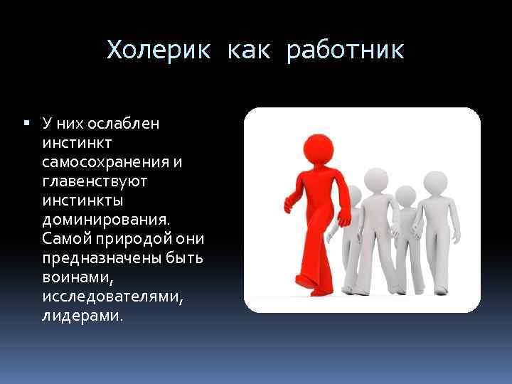 Холерик как работник У них ослаблен инстинкт самосохранения и главенствуют инстинкты доминирования. Самой природой