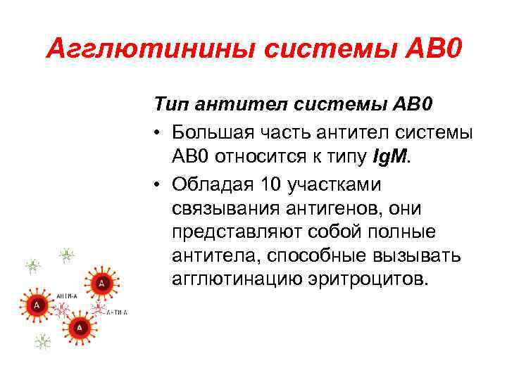 Агглютинины системы АВ 0 Тип антител системы АВ 0 • Большая часть антител системы