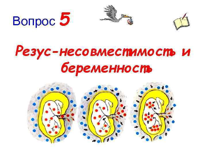 Вопрос 5 Резус-несовместимость и беременность 