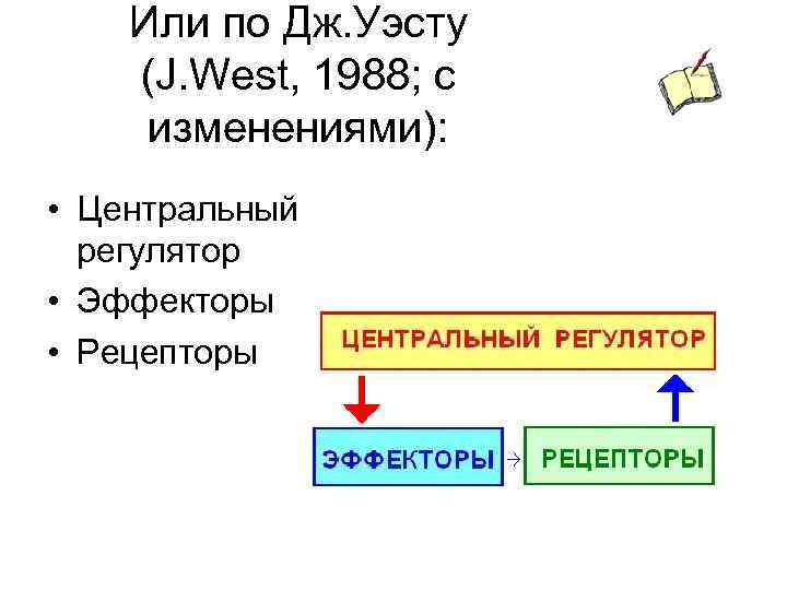Или по Дж. Уэсту (J. West, 1988; с изменениями): • Центральный регулятор • Эффекторы