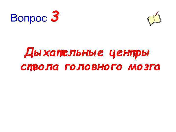 Вопрос 3 Дыхательные центры ствола головного мозга 