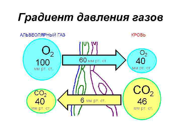 Градиент давления газов 