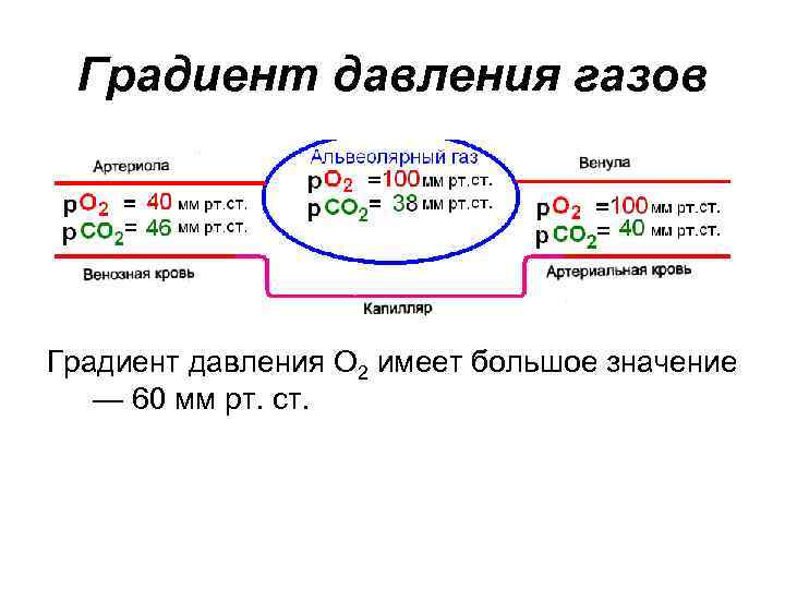 Градиент газа. Градиент давления газов. Градиент давления крови. Градиент давления крови формула. Градиент давления формула.