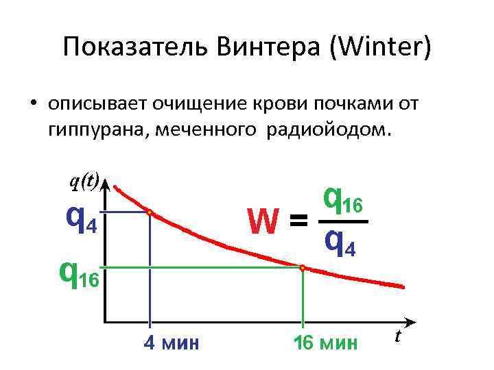 Показатель Винтера (Winter) • описывает очищение крови почками от гиппурана, меченного радиойодом. 