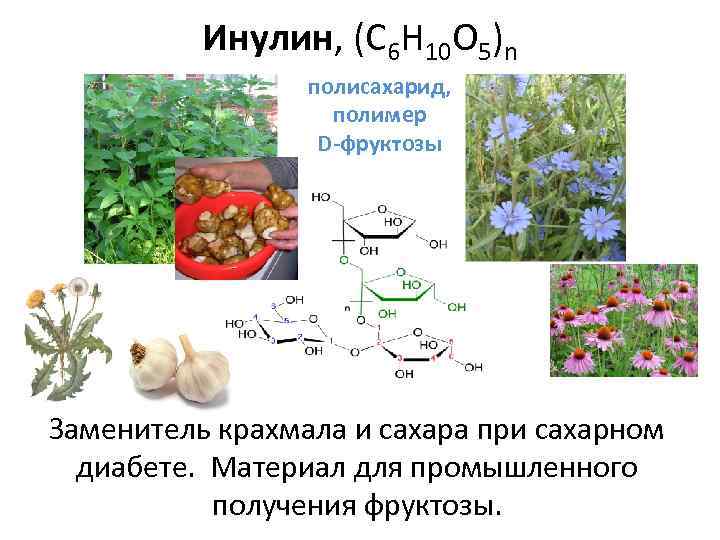 Инулин, (C 6 H 10 O 5)n полисахарид, полимер D-фруктозы Заменитель крахмала и сахара