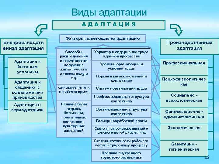 Виды адаптаций схема