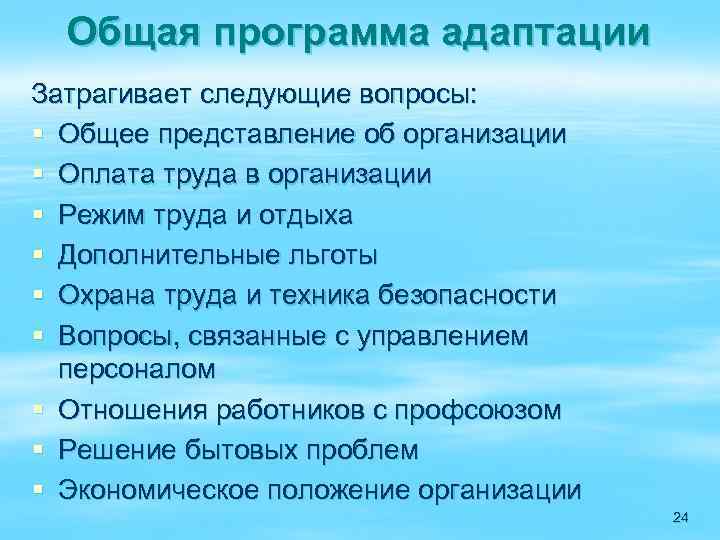 Общая программа адаптации Затрагивает следующие вопросы: § Общее представление об организации § Оплата труда