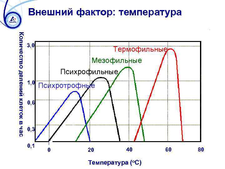 Внешний фактор: температура Количество делений клеток в час 3, 0 1, 0 Термофильные Мезофильные