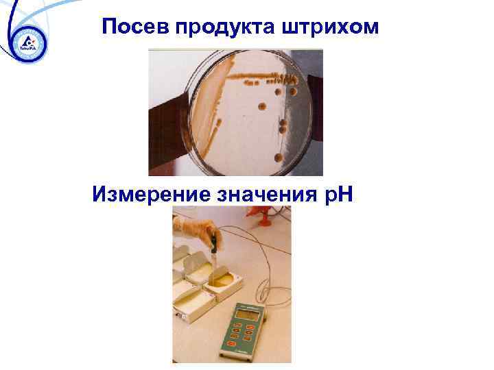 Посев продукта штрихом Измерение значения p. H 