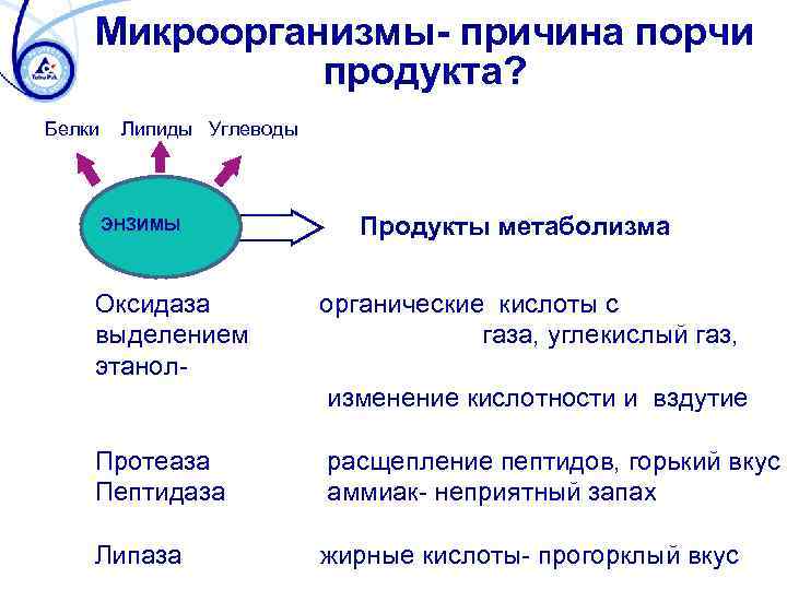 Продукты энергетического обмена