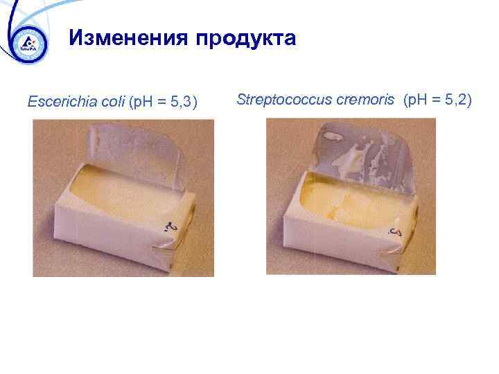 Изменения продукта Escerichia coli (p. H = 5, 3) Streptococcus cremoris (p. H =