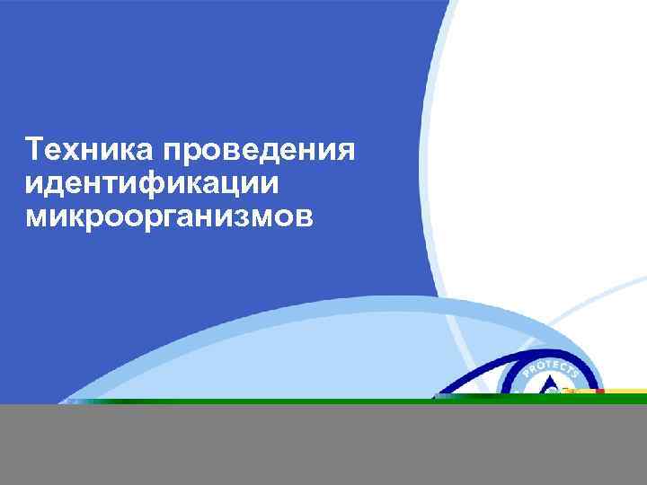 Техника проведения идентификации микроорганизмов 