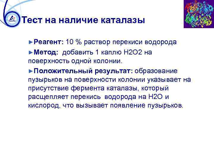 Тест на наличие каталазы ►Реагент: 10 % раствор перекиси водорода ►Метод: добавить 1 каплю