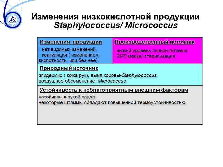 Изменения низкокислотной продукции Staphylococcus/ Micrococcus 