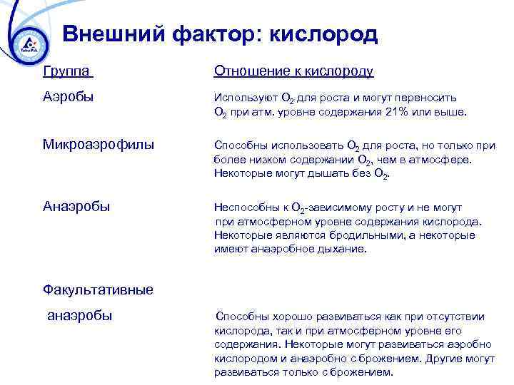 Отношение к кислороду. Микроаэрофилы это микробиология. Микроаэрофилы примеры. Характеристика микроаэрофилов. Микроаэрофилы представители.