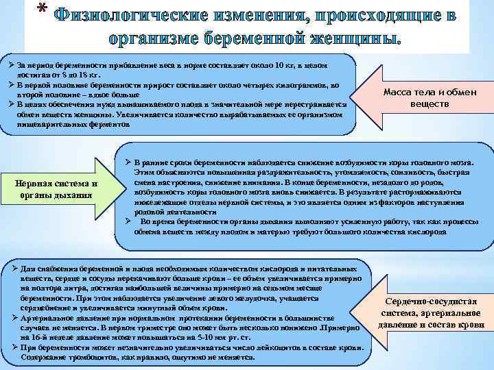 * Физиологические изменения, происходящие в организме беременной женщины. Ø За период беременности прибавление веса